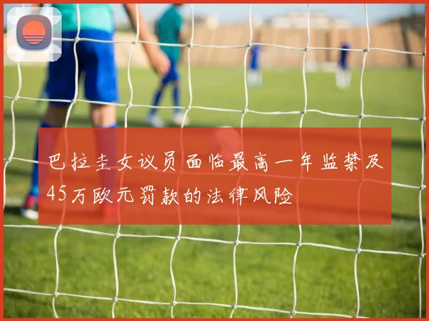 巴拉圭女议员面临最高一年监禁及45万欧元罚款的法律风险