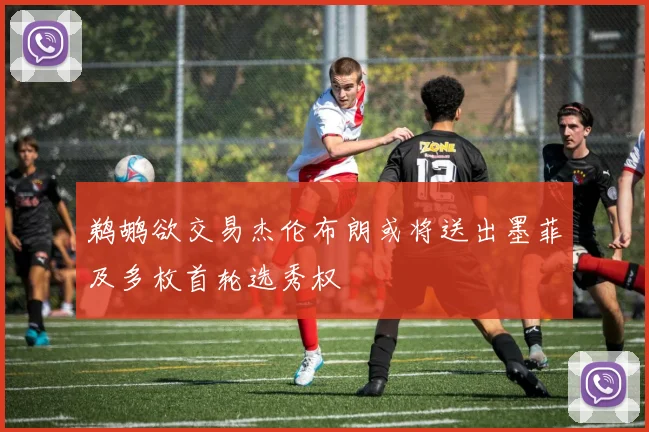 鹈鹕欲交易杰伦布朗或将送出墨菲及多枚首轮选秀权